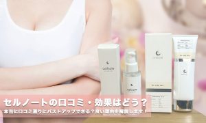 セルノートサプリの口コミは？本当にバストアップ効果あるのか調査して